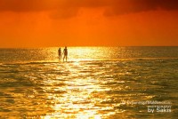 Photo of the Day : this moment happens ONLY in Maldives...