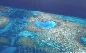 Heart-Shaped Reef in Maldives. Aerial Photo