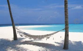 Unique Maldives ….