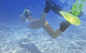 Where To Snorkel in The Maldives – Everywhere!!
