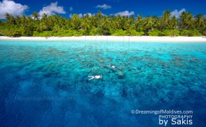 Photo of The Day : Maldives Amazing Reefs for Snorkeling