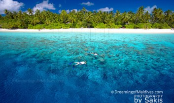 Photo of The Day : Maldives Amazing Reefs for Snorkeling