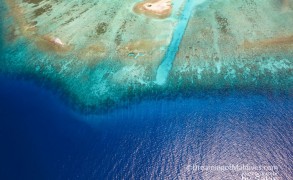 World Oceans Day 2012.