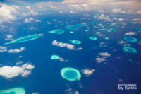 Let's celebrate the World Oceans Day !