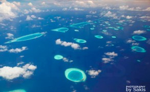 Let’s celebrate the World Oceans Day !