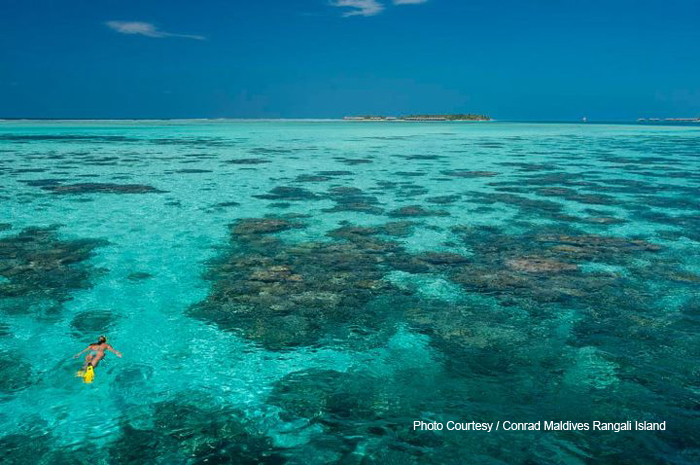 Swimming in the blue at Conrad Maldives Rangali Island. Michael Phelps holidays