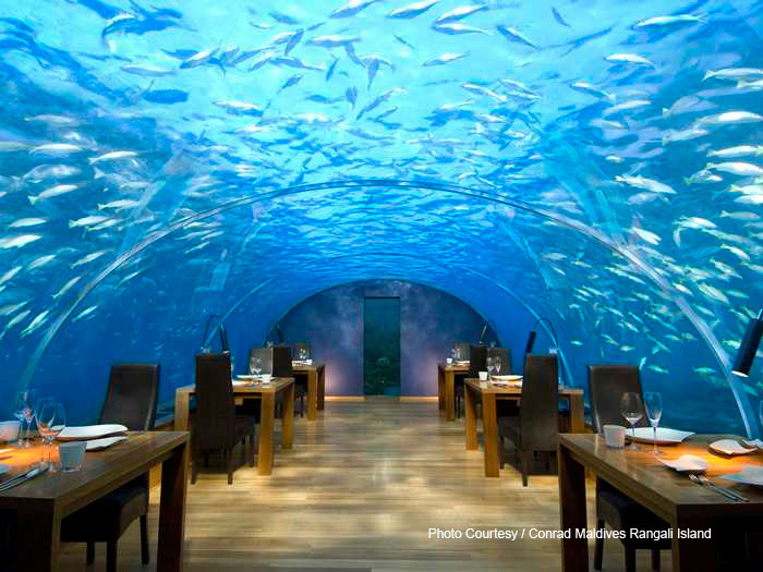 Conrad Maldives Rangali Island . Ithaa Underwater restaurant