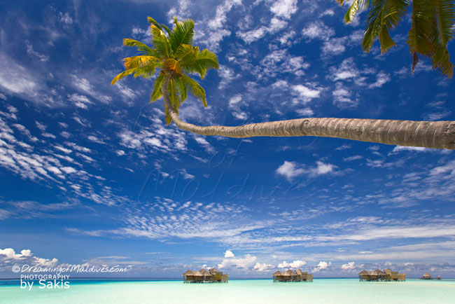 Gili Lankanfushi Maldives - 2013 World Travel Awards Indian Ocean’s Leading Luxury Resort AND Maldives’ Leading Luxury Resort