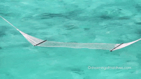 Maldives Gif : A Hammock Floating in the Lagoon. LITERALLY
