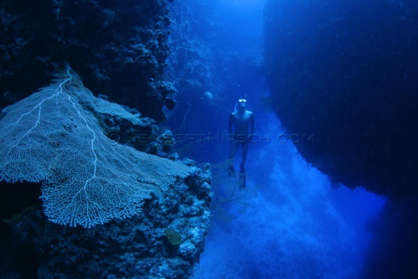 Freediver Herbert Nitsch