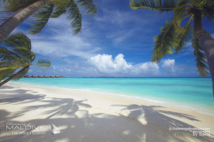 Paradise Beach of The Maldives Islands