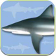 App Sharks and Rays Identification Guide App Sharks and Rays Identification Guide