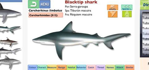 App - Sharks and Ray Identification Guide