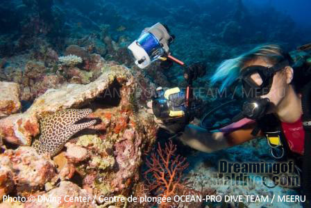 Underwater Photography at Meeru North Male Atoll.