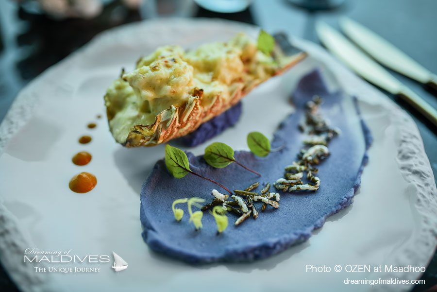 All Inclusive Exotic Gastronomy at M6m