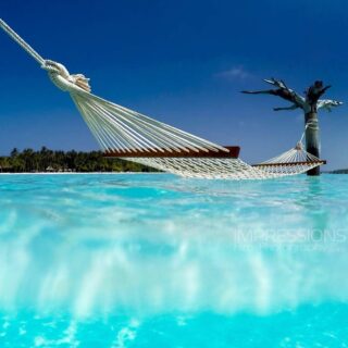 Pause. Breathe.
Blue. Stillness. Simplicity.
Who else feels like they need this kind of reset right now?
📷 @impressionsphotobysakis  #indianocean #paradiseisland #maldives #luxurylifestyle #maldivesislands #beautifulmaldives #traveldiary #wanderlust #beachlife #beachvibes #beautifuldestinations #wonderful_places #travel #travelphotography #postcardsfromtheworld #vacation #chillvibes  #passionpassport #instatravel #instamood #exploremore