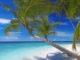 Plage-paradisiaque-Maldives-by-Sakis-cr