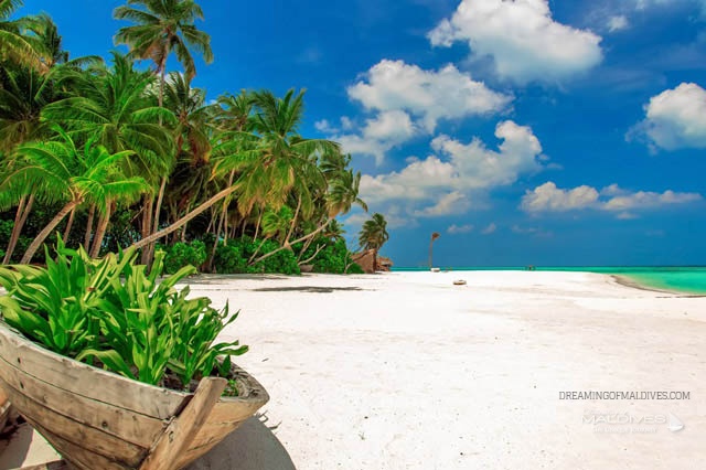 liste des hôtels aux Maldives