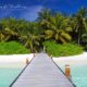 Voyage aux MAldives : le test PCR n'est plus obligatoire si vous êtes vacciné