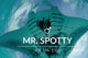 adopter une raie manta maldives mr spotty