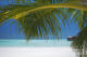 Anantara Dhigu Maldives, les Water Villas vues depuis la plage