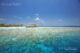 meilleur snorkeling Maldives luxe Kihavah guide et avis