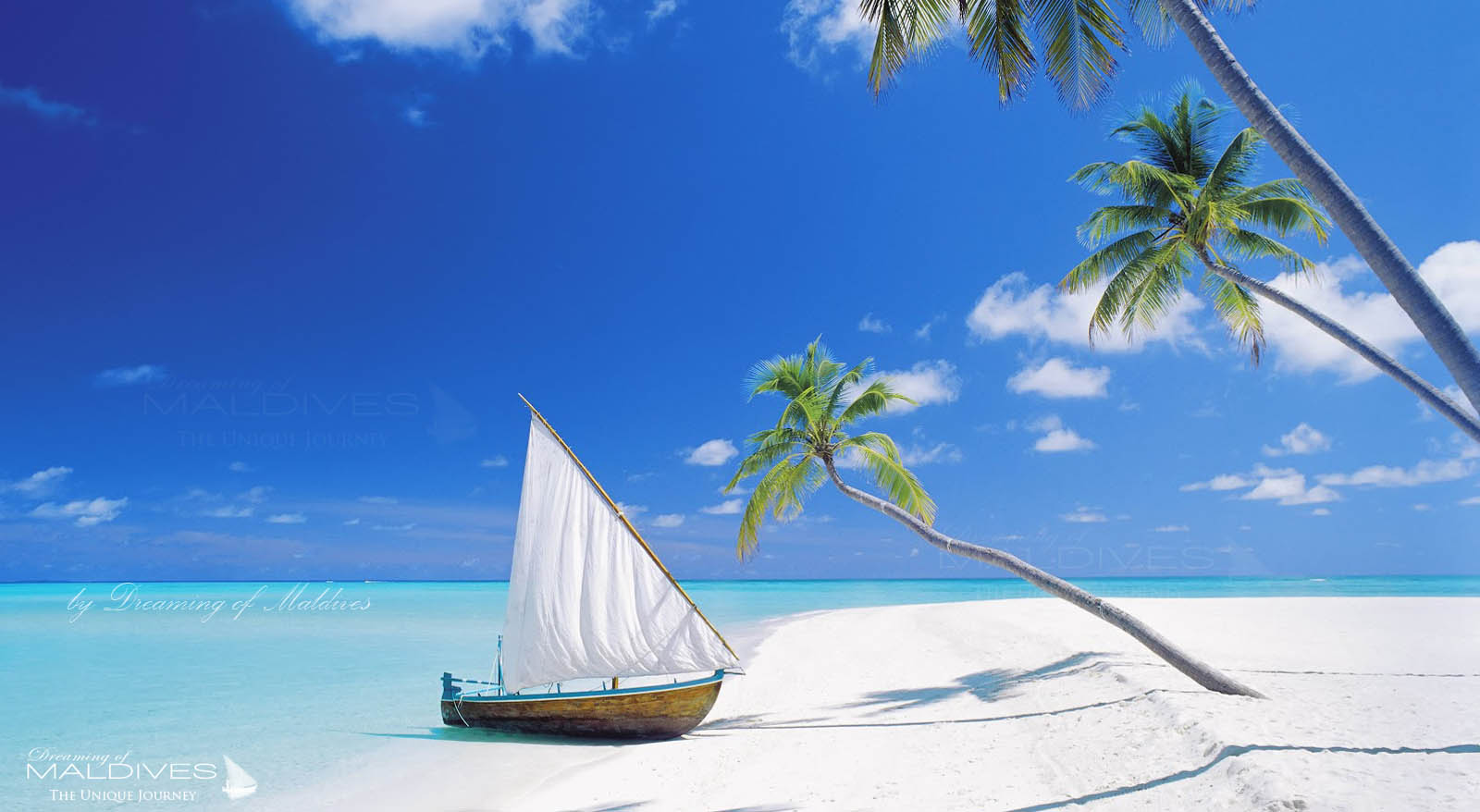 Rêves des Maldives Le meilleur Guide de Voyage aux Maldives 
Visites d'Hôtels & Récits de Voyages dans les iles
