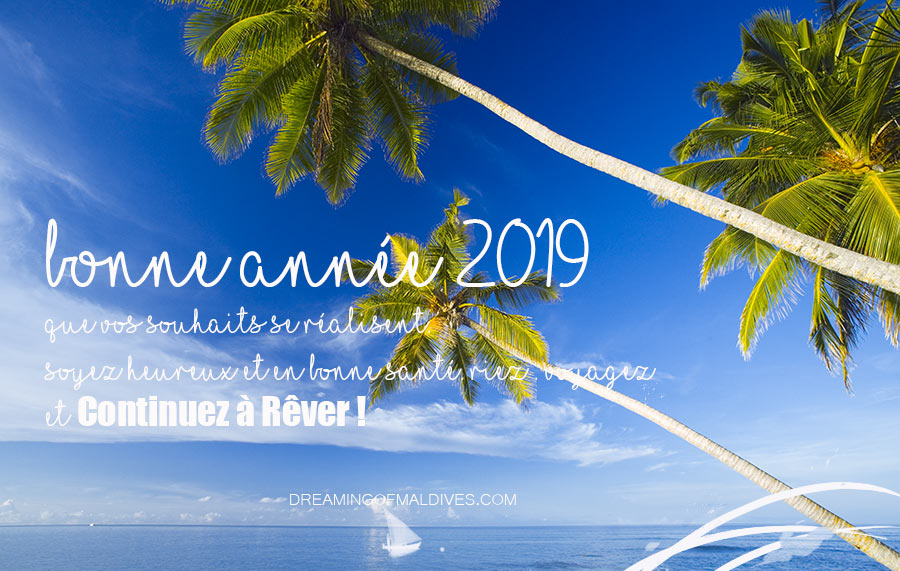 Bonne Année 2019 Que vos Souhaits se réalisent. Soyez Heureux et en bonne santé. Riez . Voyagez et Continuez à Rêver !