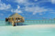 Constance Moofushi Constance Moofushi