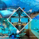 Les constructions sous-marines des Maldives