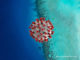 Coronavirus aux Maldives