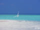 Iles Maldives Photo