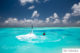 Flyboard aux Maldives  Sports Nautiques meilleure activité nautique Maldives