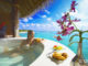 Island Hideaway Maldives Ne fermera PAS en Mai 2012