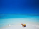 L'Art de ne Rien Faire en Photos et citations. Photo Maldives et Hamacs