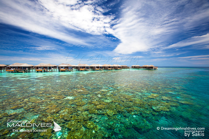 Lily Beach Maldives meilleur Hotel pour le Snorkeling .Récifs de corail de l'ile