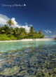 les magnifiques récifs de l'hôtel W Maldives pour le snorkeling