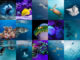 Maldives : Galerie de Photos de plongée sous-marines