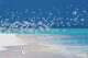 maldives paradis Banc de Sable
