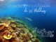le monde sous-marin de W Maldives