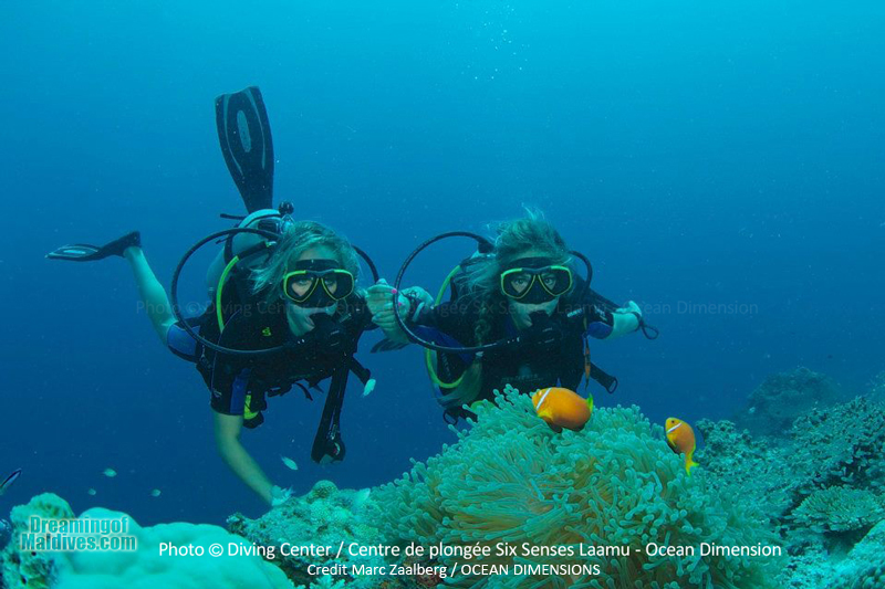 La Plongée au Six Senses Laamu - Atoll de Laamu | Photo © Marc Zaalberg / Ocean Dimensions La Plongée au Six Senses Laamu - Atoll de Laamu