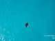 Une raie Manta nageant dans un lagon des Maldives. Vue du Ciel