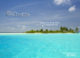 reves-des-maldives-en-francais Le Rêve des Maldives bientôt en version Française.