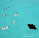 Dhigurah meilleure ile Snorkeling aux Maldives nager avec les mantas
