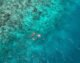 accès snorkeling récifs nova maldives