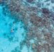 Snorkeling sur les récifs de Raffles Maldives