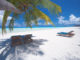 Maldives, sur la plage a l'ombre d'un cocotier