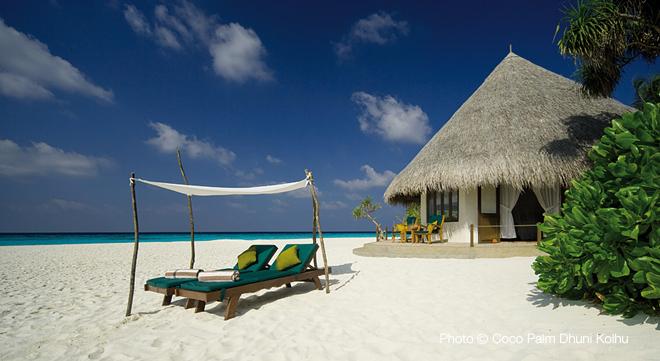 coco dhuni kolhu Maldives Top 10 Meilleurs Hotels des Maldives