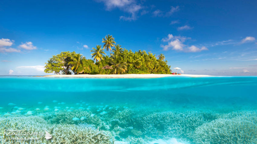 TOP 5 des Choses à faire à Hôtel W Maldives Vivre pour quelques heures ou plusieurs jours sur une petite île déserte