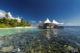 TOP 5 des Choses à faire à Hôtel W Maldives Faire du Snorkeling autour de l'ile